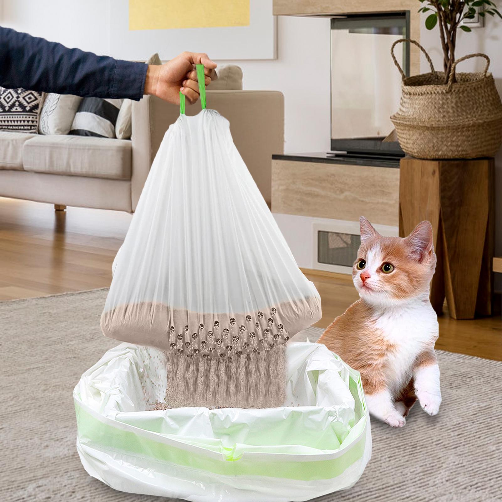 Caring for Pets